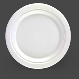 500 x Disposable Bagasse Paper Plate 10 inch