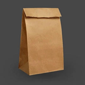 100 x Large Paper Grab Bags with no Handles