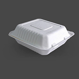 200 x Bagasse Hinged Food Boxes 8x8"