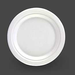 500 x Disposable Bagasse Paper Plate 9 inch