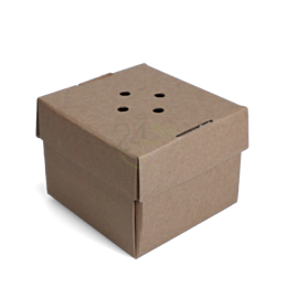 100 x Premium Burger Box Recyclable