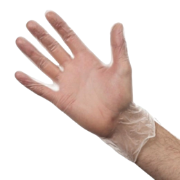 100 x Large Clear Vinyl Gloves - Powder-Free