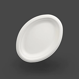500 x Oval Bagasse Plate 26x9cm 