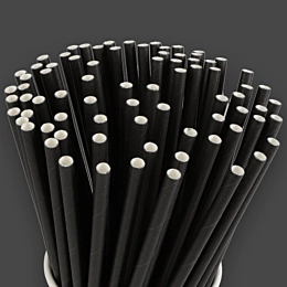 250 x Black Paper Straws 200mm 6mm Bore